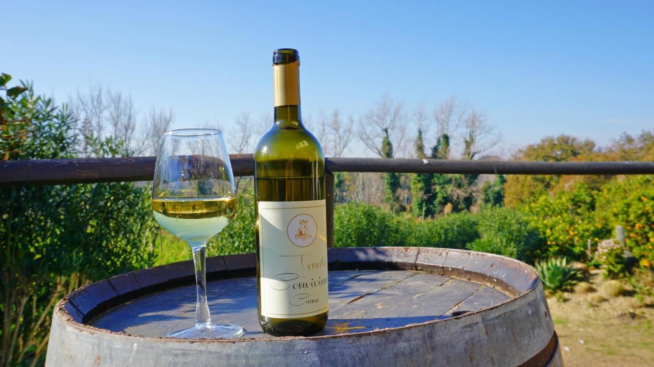 Tenuta Convivium Pozzuoli Exteriér fotografie